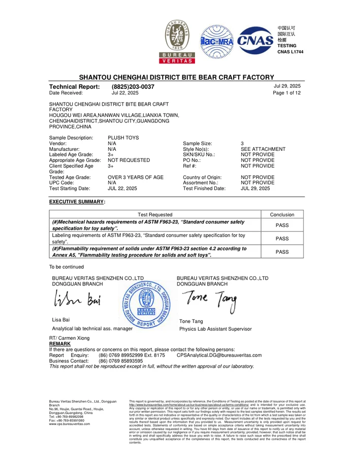 ASTM F963 & CPSIA (US)